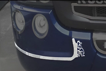 COPPIA BORDINO PARAURTI GRIFFIN SCANIA 2010