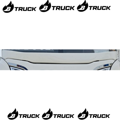 PARATERGI IN RESINA SCANIA S