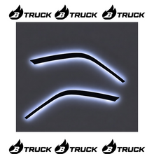 COPPIA CIGLIA DINAMICHE SCANIA S PLEX NERO