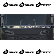 BULLBAR PROTEZIONE PARABREZZA SCANIA CON LAMIERA INTERNA PARASSASSI