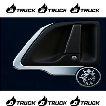 CORNICE INOX MANIGLIA SCANIA SEMPLICE