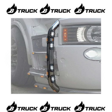 COPPIA ASTINE INOX D.42 SCANIA R SENZA LED